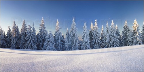poster-schwarzwald-winterlandschaft-466743.jpg